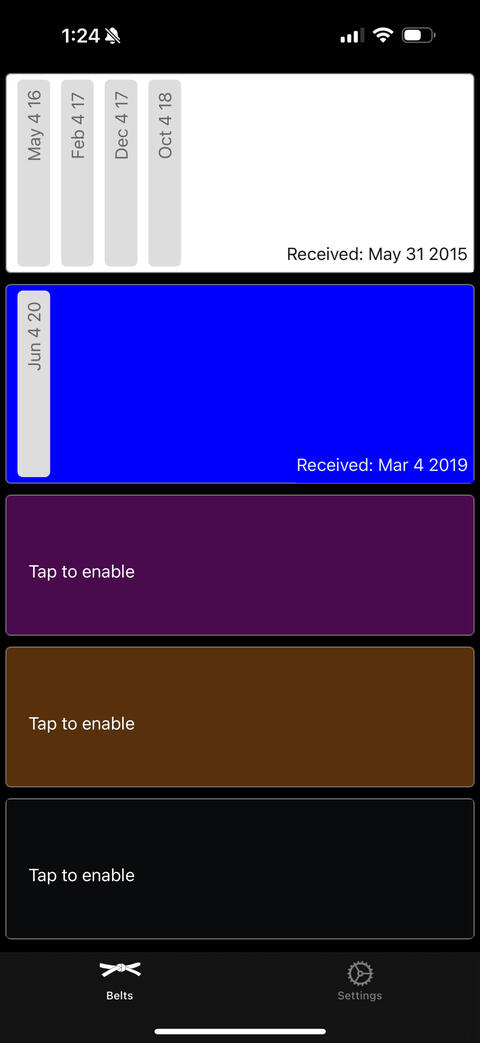BJJ Belt Log app showing belt and stripe dates